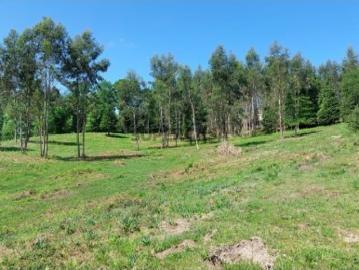 Terreno Tabuaças