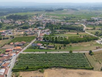 Terreno Terreno Urbanizável com Pomar Kiwis e Poço...