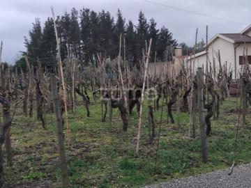 Terreno Urbanizável com 770m2 em Paredes do Bairro Anadia
