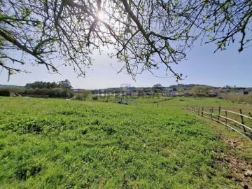Terreno urbano com 15.867 m2 em Cela, Alcobaça, com...