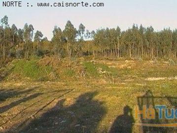 Terreno Valongo Quinta da Lousa | 26080106595