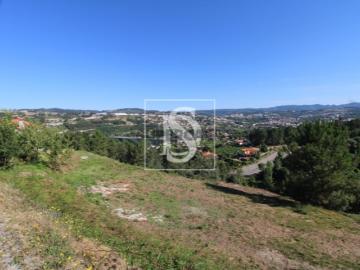 Terreno Venda em Amarante São Gonçalo, Madalena, Cepelos...