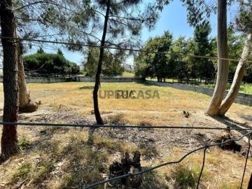 Terreno Venda em São João de Areias,Santa Comba Dão