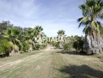 Terreno Venta Agullent, Agullent