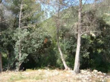 Terreno Venta Alcalalí, Alcalalí