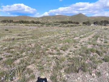 Terreno Venta Alboloduy, Alboloduy