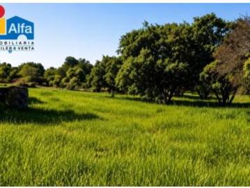 Terreno Venta Aldea del Cano, Aldea del Cano