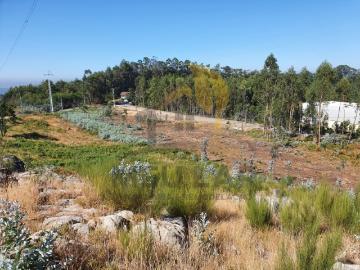 TERRENO ZONA INDUSTRIAL