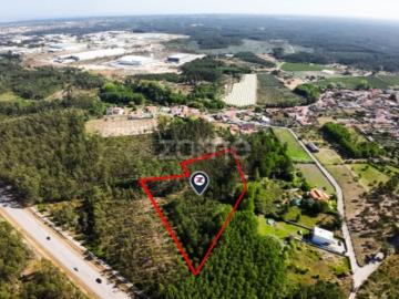 Terreno | 4.160m2 | Cantanhede | Oportunidade |