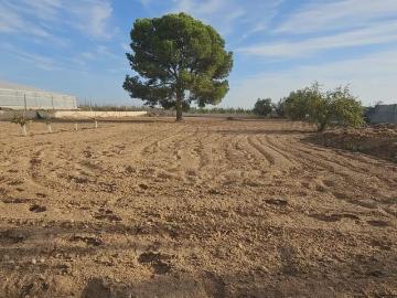 Terreno/Finca Rústica en venta en El Mirador, Murcia...