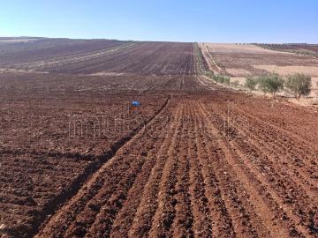 Terrian agricole à vendre