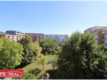Top Wohnung im Biesenfeld
