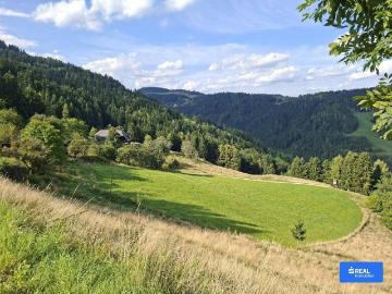 Traumhaft gelegene Landwirtschaft mit Hofstelle in...