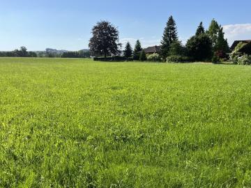 Traumhaft Sonnige Baugrundstücke, Voll Aufgeschlossen &...