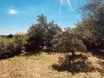 Traumhaftes, großes Grundstück mit Projekt! Ca. 1800 m2!