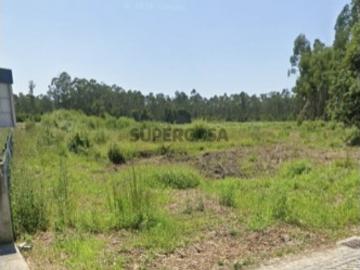 Urbano em Modivas