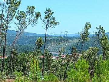Urbano em Pedrógão Grande