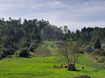 Terreno em Trouxemil e Torre de Vilela