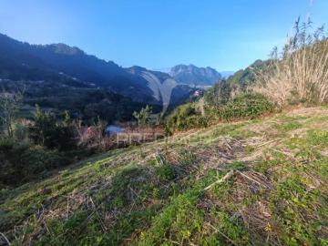 Terreno em Porto da Cruz