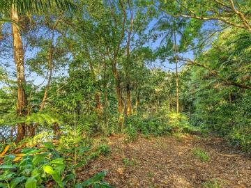 VACANT LIFESTYLE BLOCK WITH INCOME POTENTIAL