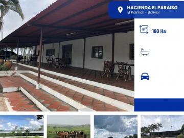 VENTA DE HACIENDA EL PARAISO EN EL PALMAR BOLIVAR VE03...