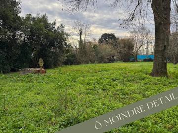 Vente Terrain constructible 1460 m2 Montesquieu Volvestre