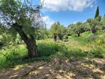 Vente Terrain constructible 2052 m2 Montauroux