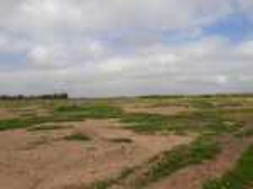 Vente terrain de 1075m² à Route Ouarzazate