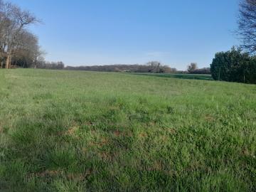 Vente Terrain 1980 m2 Saint Sornin