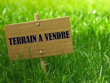 Vente Terrain 1000 m2 Montrabé