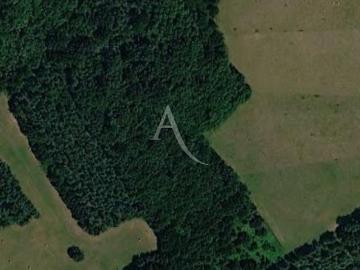 Vente Terrain 24000 m2 Montagnac sur Lède