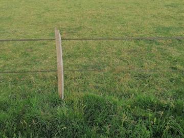 Vente Terrain 274 m2 Merlevenez