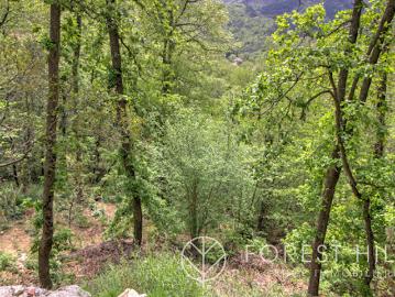 Vente Terrain 2332 m2 Maureillas las Illas
