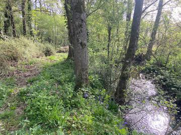 Vente Terrain 3600 m2 Montréverd