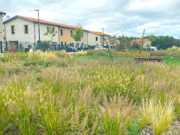 Vente Terrain 366 m2 Montanay