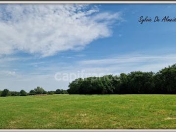 Vente Terrain 3128 m2 Béréziat