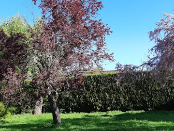 Vente Terrain 407 m2 Montfort sur Meu