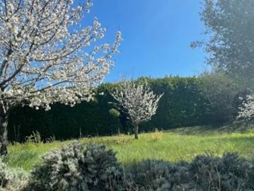 Vente Terrain 550 m2 Deyme