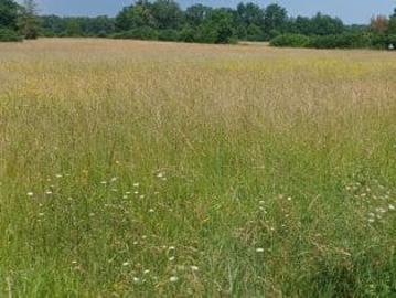 Vente Terrain 516 m2 Mignaloux Beauvoir