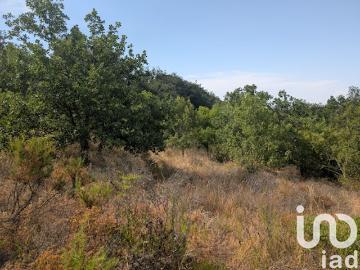 Vente Terrain 6500 m2 Maureillas las Illas