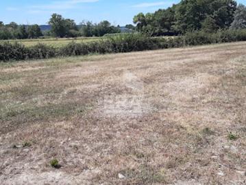 Vente Terrain 608 m2 Nouilhan