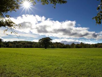 Vente Terrain 700 m2 Montbazon