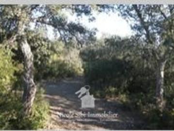 Vente Terrain 81150 m2 Montauriol