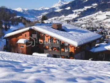 Vente Appartement 1 pièce 24.67 m2 Megeve
