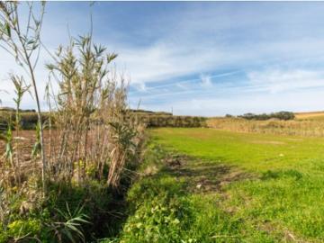 Vende Terreno Ericeira 13 km, A Casa das Casas