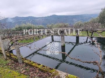Quinta em Nagosa, Moimenta da Beira