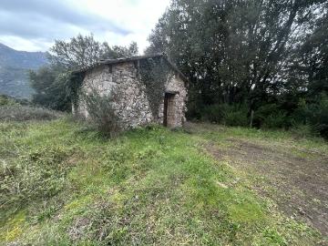 Vero Vente Terrain 20