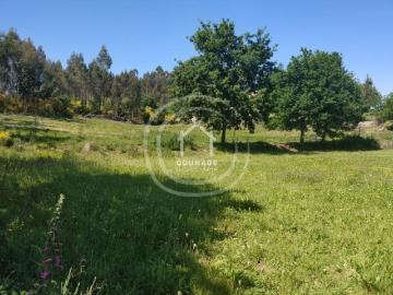 Viana do Castelo Paredes de Coura 4940 104824793