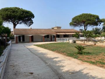 Villetta indipendente in vendita di 225 m² in Via del...