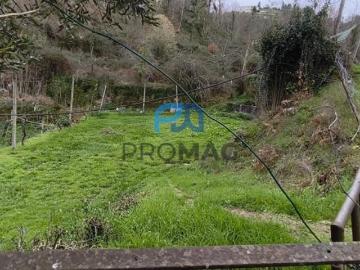 Viseu Cinfães 4690 99974124